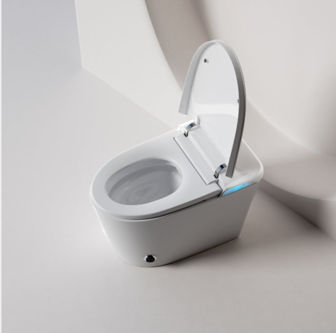 Luna Intelligent Smart Toilet