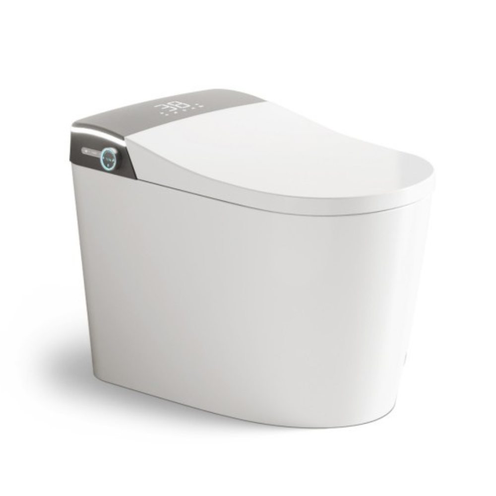 Enrique Luxury Smart Toilet