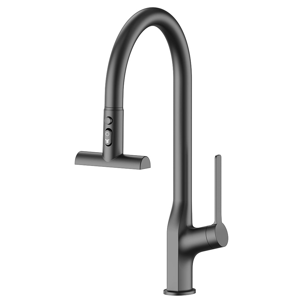 Novara Pull-Out Kitchen Mixer