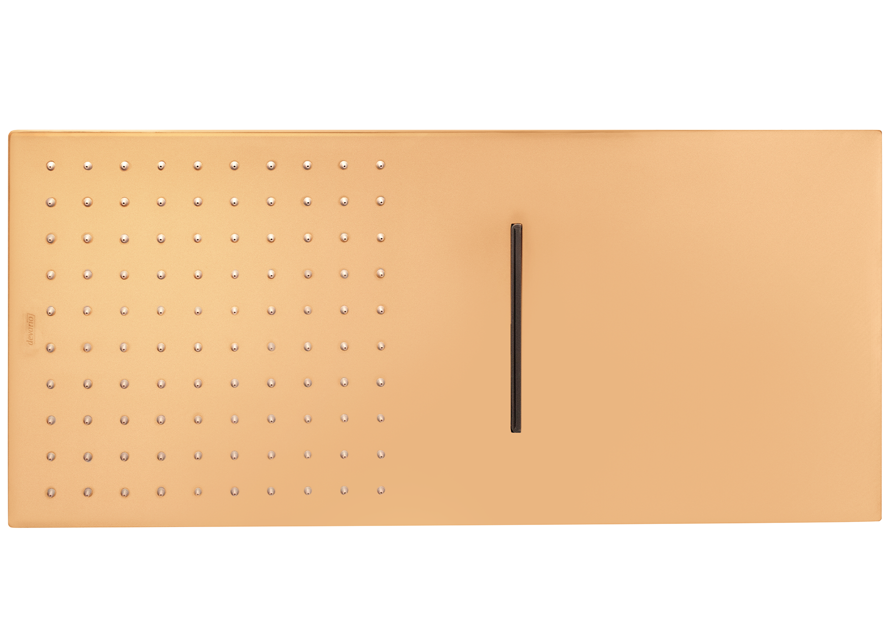 Devario Premio Shower Head 2 Function